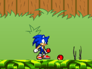 Sonic In Garden
